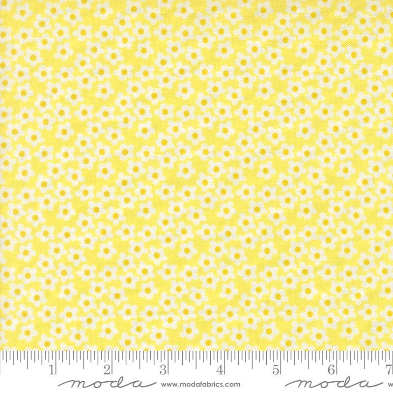 PRE - Order Popcorn by Elizabeth Hartman - Sunshine 51282 22 - Half Yard - November 2026 - Modern Fabric Shoppe