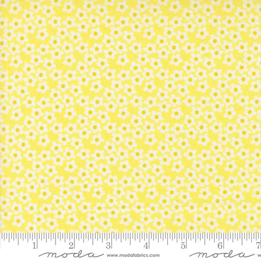 PRE - Order Popcorn by Elizabeth Hartman - Sunshine 51282 22 - Half Yard - November 2026 - Modern Fabric Shoppe