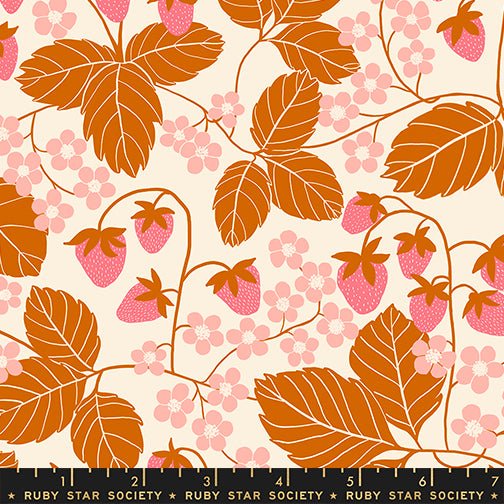 PRE - ORDER Reimagine Landscape by Jen Hewitt - Bashful RS6054 11 - Half Yard - November 2025 - Modern Fabric Shoppe