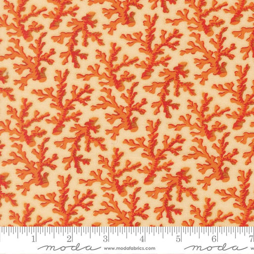 PRE - ORDER Saltwater by Cathy Holden - Natural 39575 11 - Half Yard - March 2026 - Modern Fabric Shoppe