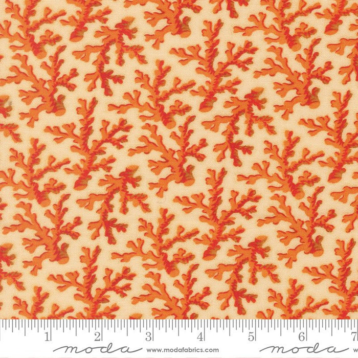 PRE - ORDER Saltwater by Cathy Holden - Natural 39575 11 - Half Yard - March 2026 - Modern Fabric Shoppe