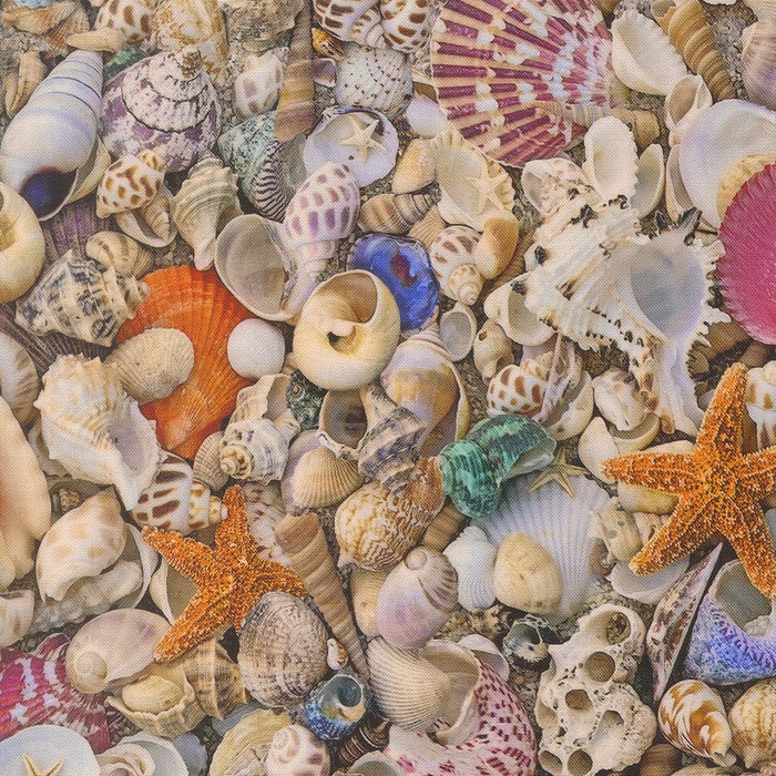 PRE - ORDER Saltwater by Cathy Holden - Shell 39570 11 - Half Yard - March 2026 - Modern Fabric Shoppe