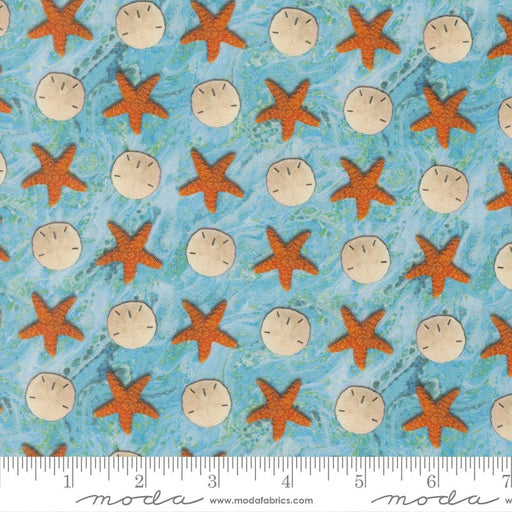 PRE - ORDER Saltwater by Cathy Holden - Surf 39576 12 - Half Yard - March 2026 - Modern Fabric Shoppe