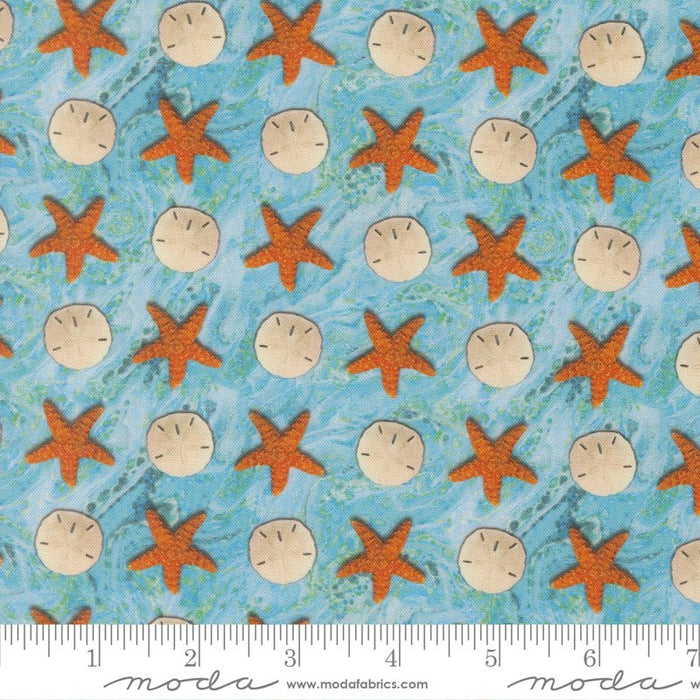 PRE - ORDER Saltwater by Cathy Holden - Surf 39576 12 - Half Yard - March 2026 - Modern Fabric Shoppe