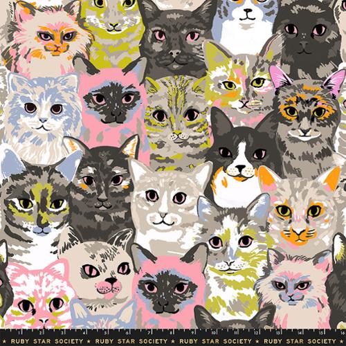 PRE-Order Sarah Watts Oops All Cats- 108" Wide Back- RS2154 11 Sandbox- Half Yard- May 2027 - Modern Fabric Shoppe
