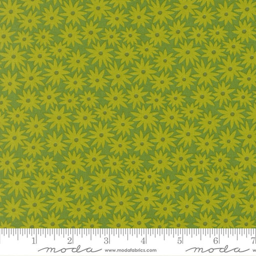 PRE - Order Scenery by Elizabeth Hartman - Sedum Limeade 51270 14 - Half Yard - May 2026 - Modern Fabric Shoppe
