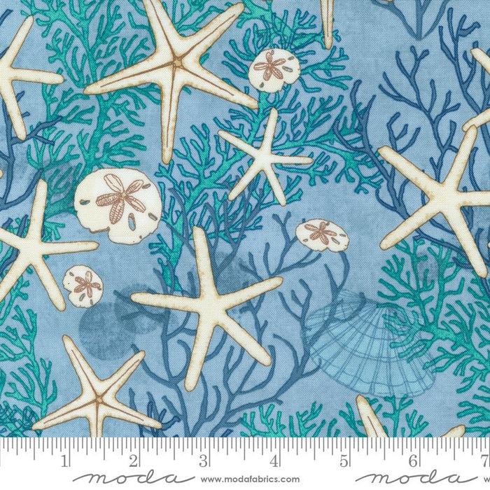 PRE - ORDER Serena Shores by Robin Pickens - Breeze 48771 16 - Half Yard - November 2024 - Modern Fabric Shoppe