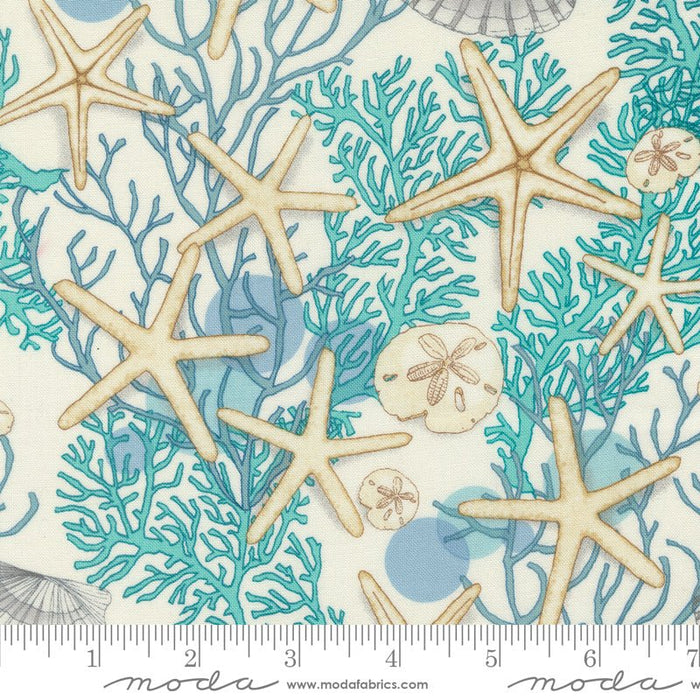 PRE - ORDER Serena Shores by Robin Pickens - Cloud 48771 11 - Half Yard - November 2024 - Modern Fabric Shoppe