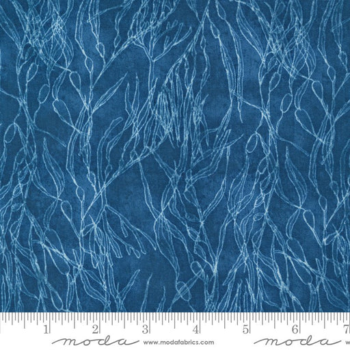 PRE - ORDER Serena Shores by Robin Pickens - Coastal 48773 14 - Half Yard - November 2024 - Modern Fabric Shoppe