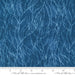 PRE - ORDER Serena Shores by Robin Pickens - Coastal 48773 14 - Half Yard - November 2024 - Modern Fabric Shoppe