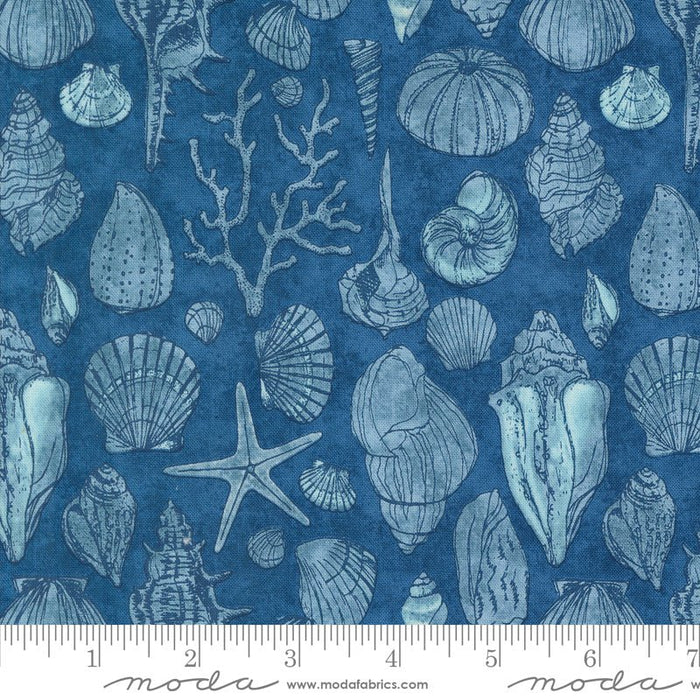 PRE - ORDER Serena Shores by Robin Pickens - Coastal 48774 14 - Half Yard - November 2024 - Modern Fabric Shoppe