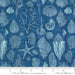 PRE - ORDER Serena Shores by Robin Pickens - Coastal 48774 14 - Half Yard - November 2024 - Modern Fabric Shoppe