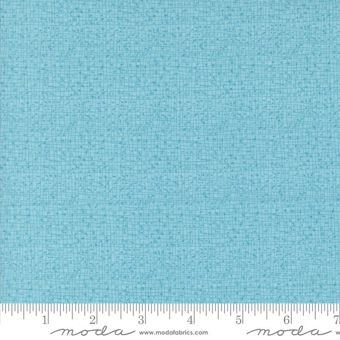 PRE - ORDER Serena Shores by Robin Pickens - Thatched Frost 48626 211 - Half Yard - November 2024 - Modern Fabric Shoppe