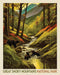 PRE - Order Smoky Mountains - National Parks Panel for Riley Blake Designs - PD16132 - PANEL - Panel - Modern Fabric Shoppe