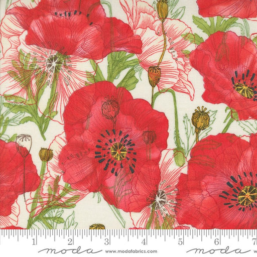 PRE - Order Superbloom by Robin Pickens - Superbloom Cream 48781 11 - Half Yard - April 2025 - Modern Fabric Shoppe