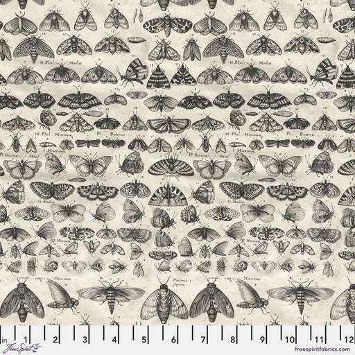 PRE - Order Tim Holtz - Eclectic Elements Palette - Charcoal Moths PWTH315.CHARCOAL - Half Yard - August 2025 - Modern Fabric Shoppe