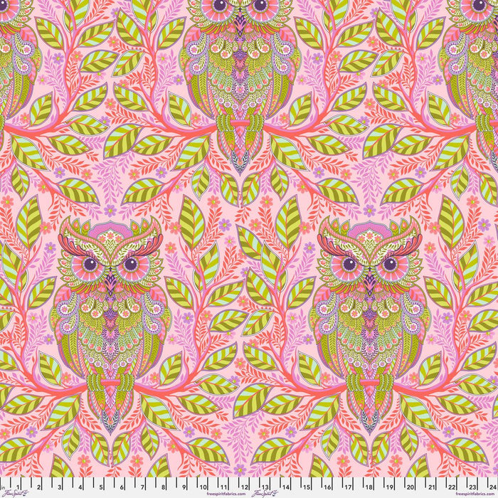 PRE - ORDER Tula Pink Full Moon Forest II - Hootie Patootie PWTP244.HONEY - Half Yard - April 2025 - Modern Fabric Shoppe