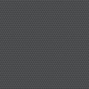 PRE - Order Tula Pink Graywork True Color - Kinda Shady PWTP263.CARBON - Half Yard - October 2025 - Modern Fabric Shoppe