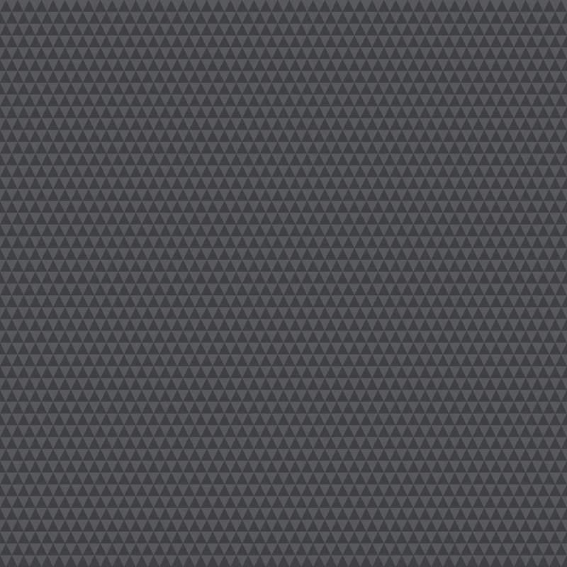 PRE - Order Tula Pink Graywork True Color - Kinda Shady PWTP263.CARBON - Half Yard - October 2025 - Modern Fabric Shoppe