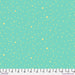 PRE - ORDER Tula Pink True Colors 2025 - Space Sprinkles PWTP254.SEAGLASS - Half Yard - April 2025 - Modern Fabric Shoppe