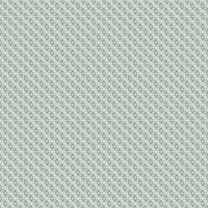 PRE - Order Wandering Eye by Kathy Doughty - Cinder Block 91071 - 90 Neutral - Half Yard - March 2025 - Modern Fabric Shoppe