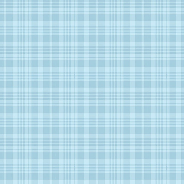 PRE - Order Winnie the Pooh for Riley Blake Designs - Blue Plaid C17005 - BLUE - Half Yard November 2025 - Modern Fabric Shoppe