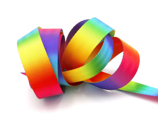 Rainbow Bright 1 inch (25mm)width Nylon Webbing- by the yard - Modern Fabric Shoppe