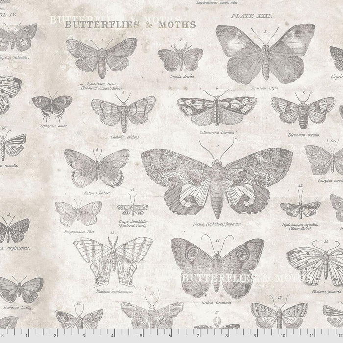 Tim Holtz - Electric Elements - Butterflies PWTH004.PARCHMENT - Half Yard - Modern Fabric Shoppe