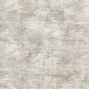 Tim Holtz - Electric Elements - Expedition PWTH016.MULTI - Half Yard - Modern Fabric Shoppe