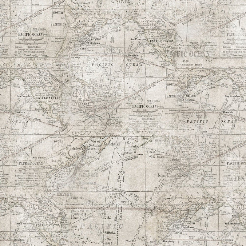 Tim Holtz - Electric Elements - Expedition PWTH016.MULTI - Half Yard - Modern Fabric Shoppe