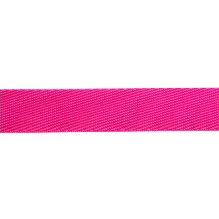 Tula Pink Everglow Cosmic/Pink Nylon Webbing 1" (25mm) wide - Modern Fabric Shoppe