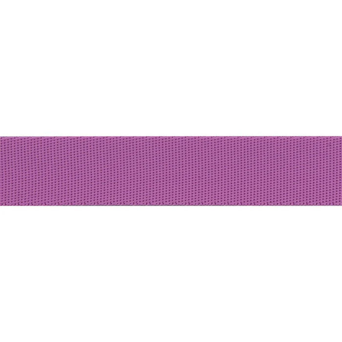 Tula Pink Everglow Mystic/Purple Nylon Webbing 1" (25mm) wide - Modern Fabric Shoppe